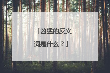 凶猛的反义词是什么？