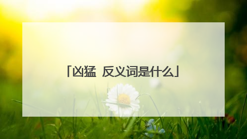 凶猛 反义词是什么