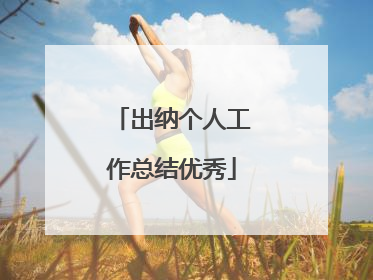 出纳个人工作总结优秀