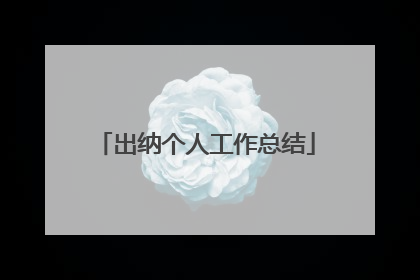 出纳个人工作总结