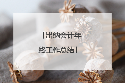 出纳会计年终工作总结