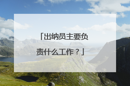 出纳员主要负责什么工作?
