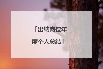 出纳岗位年度个人总结