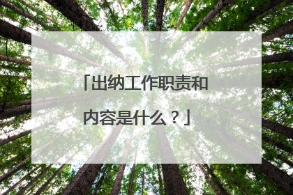 出纳工作职责和内容是什么?