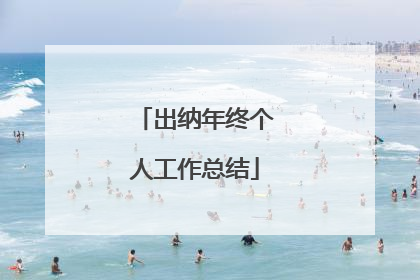 出纳年终个人工作总结