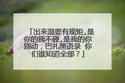 出来混要有规矩,是你的我不碰,是我的你别动,巴扎黑语录 你们谁知道全部?