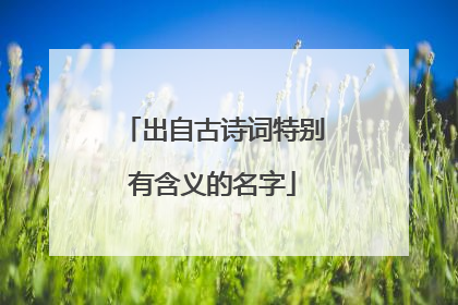 出自古诗词特别有含义的名字