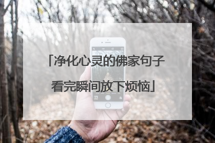 净化心灵的佛家句子 看完瞬间放下烦恼