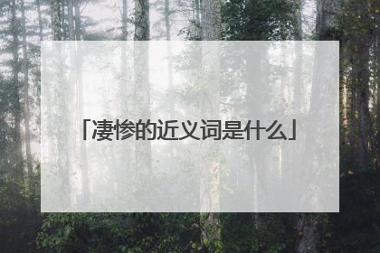 凄惨的近义词是什么