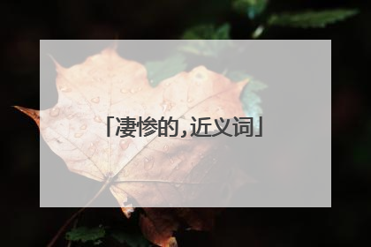 凄惨的,近义词