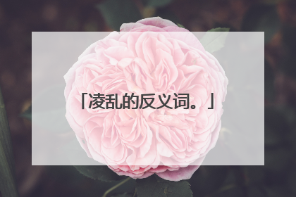 凌乱的反义词。