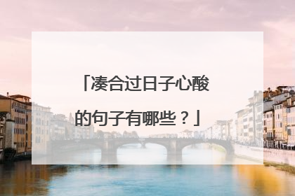 凑合过日子心酸的句子有哪些?