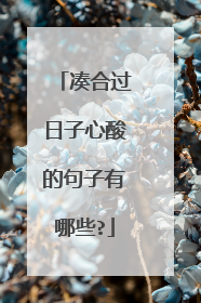 凑合过日子心酸的句子有哪些?