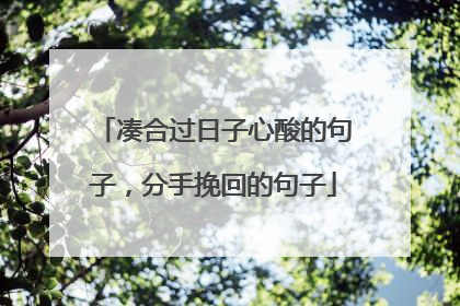 凑合过日子心酸的句子,分手挽回的句子