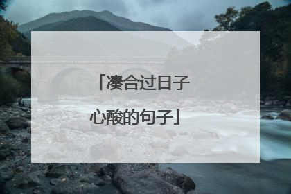 凑合过日子心酸的句子