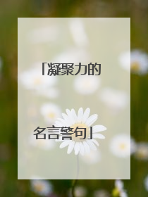 凝聚力的名言警句