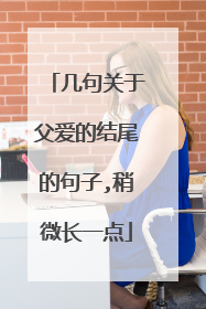 几句关于父爱的结尾的句子,稍微长一点