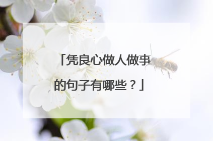 凭良心做人做事的句子有哪些?