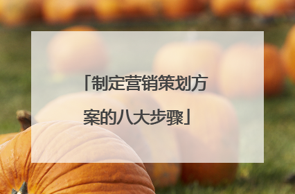 制定营销策划方案的八大步骤