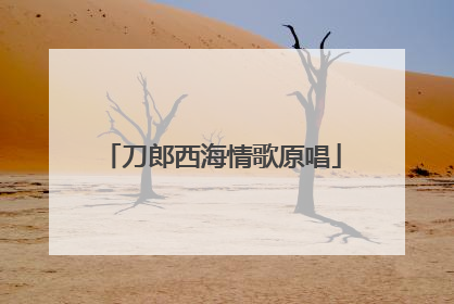 刀郎西海情歌原唱
