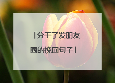 分手了发朋友圈的挽回句子