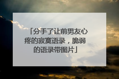 分手了让前男友心疼的寂寞语录,脆弱的语录带图片