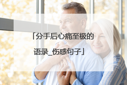 分手后心痛至极的语录_伤感句子