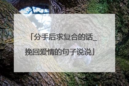 分手后求复合的话_挽回爱情的句子说说