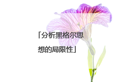 分析黑格尔思想的局限性