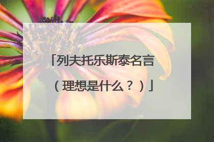列夫托乐斯泰名言 (理想是什么?)