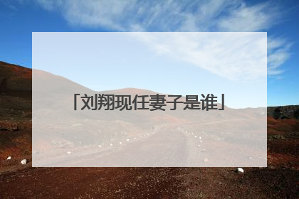 刘翔现任妻子是谁