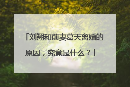 刘翔和前妻葛天离婚的原因，究竟是什么？