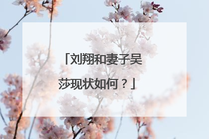 刘翔和妻子吴莎现状如何?