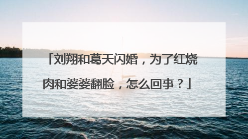 刘翔和葛天闪婚，为了红烧肉和婆婆翻脸，怎么回事？