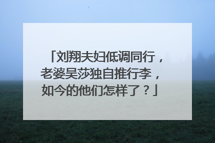 刘翔夫妇低调同行,老婆吴莎独自推行李,如今的他们怎样了?