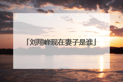 刘翔峰现在妻子是谁