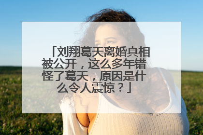 刘翔葛天离婚真相被公开，这么多年错怪了葛天，原因是什么令人震惊？