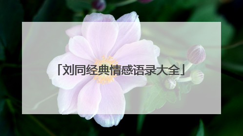 刘同经典情感语录大全