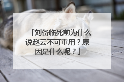 刘备临死前为什么说赵云不可重用？原因是什么呢？