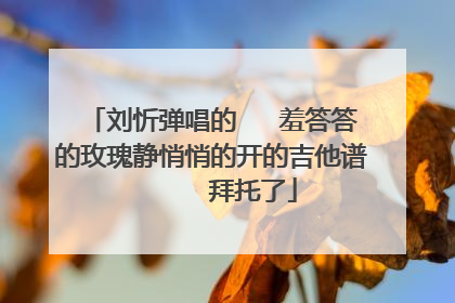 刘忻弹唱的   羞答答的玫瑰静悄悄的开的吉他谱      拜托了