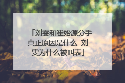 刘雯和崔始源分手真正原因是什么 刘雯为什么被叫表