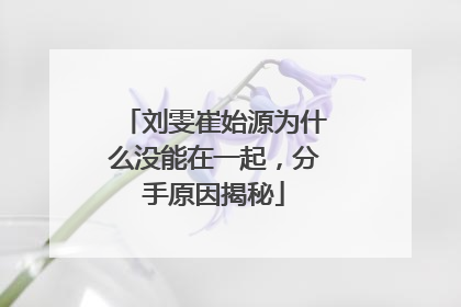 刘雯崔始源为什么没能在一起,分手原因揭秘