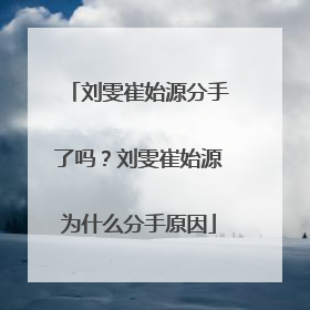 刘雯崔始源分手了吗?刘雯崔始源为什么分手原因