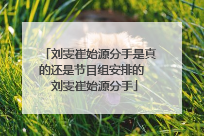 刘雯崔始源分手是真的还是节目组安排的 刘雯崔始源分手
