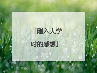 刚入大学时的感想
