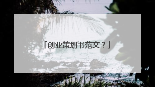 创业策划书范文？