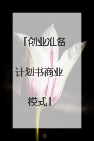 创业准备计划书商业模式