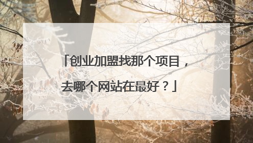 创业加盟找那个项目，去哪个网站在最好？