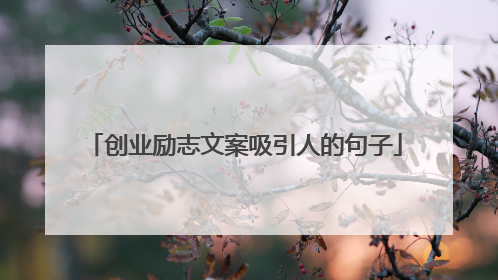 创业励志文案吸引人的句子