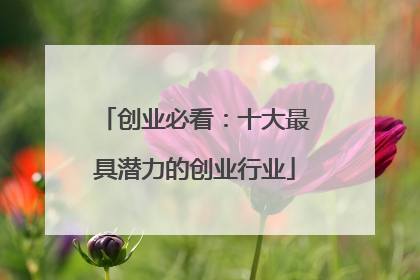 创业必看:十大最具潜力的创业行业